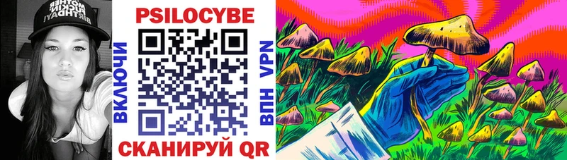 Псилоцибиновые грибы MAGIC MUSHROOMS  hydra tor  Инсар  сколько стоит 